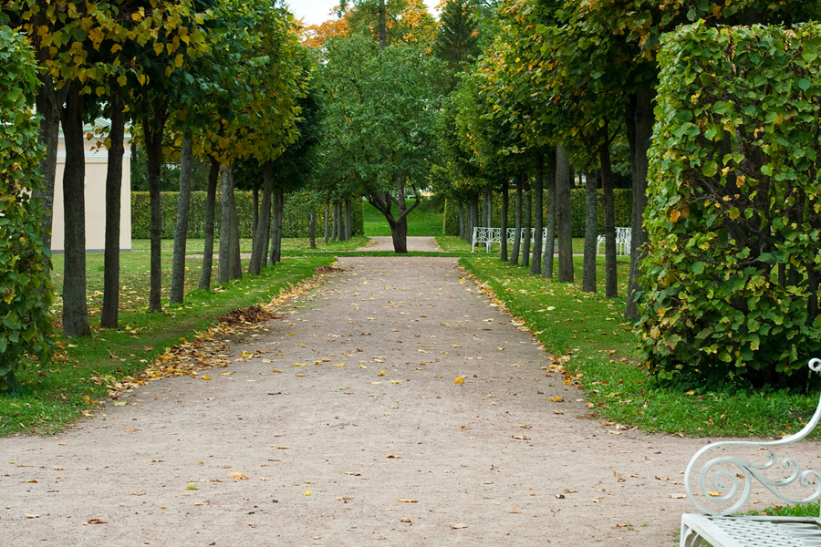 Фото жизнь (light) - Miranda - В парках и садах - ......