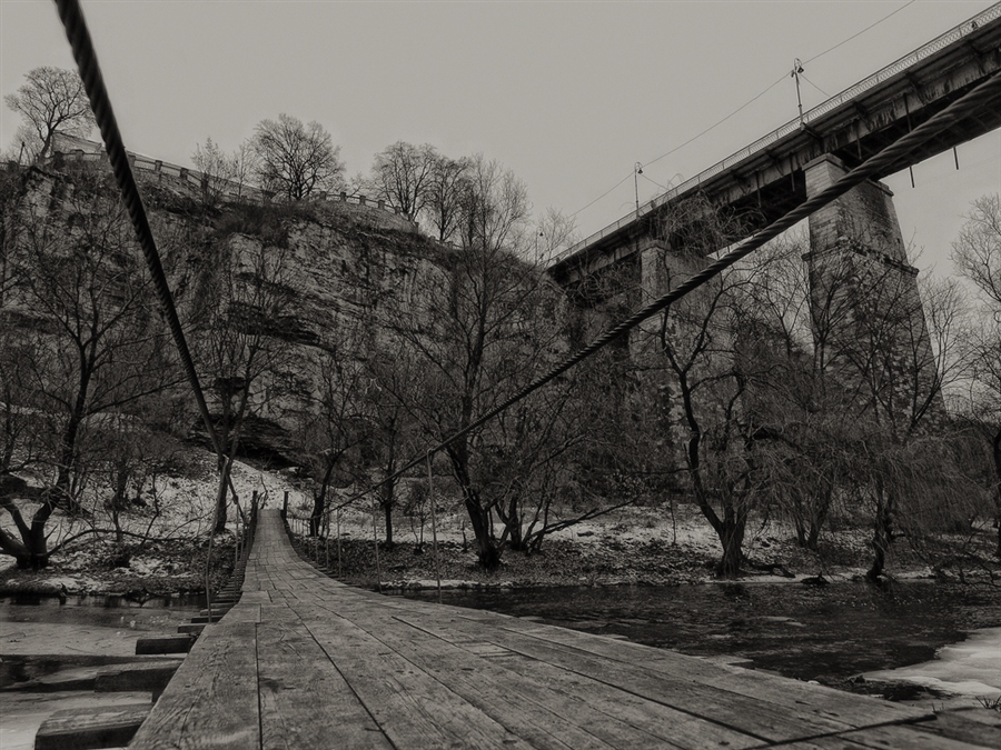 Фото жизнь