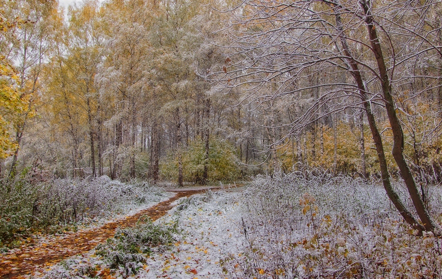 Фото жизнь