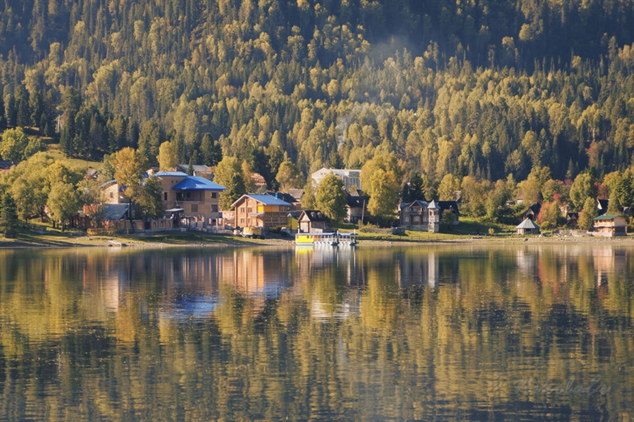 Фото жизнь