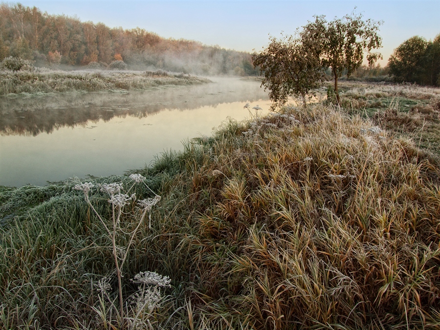 Фото жизнь