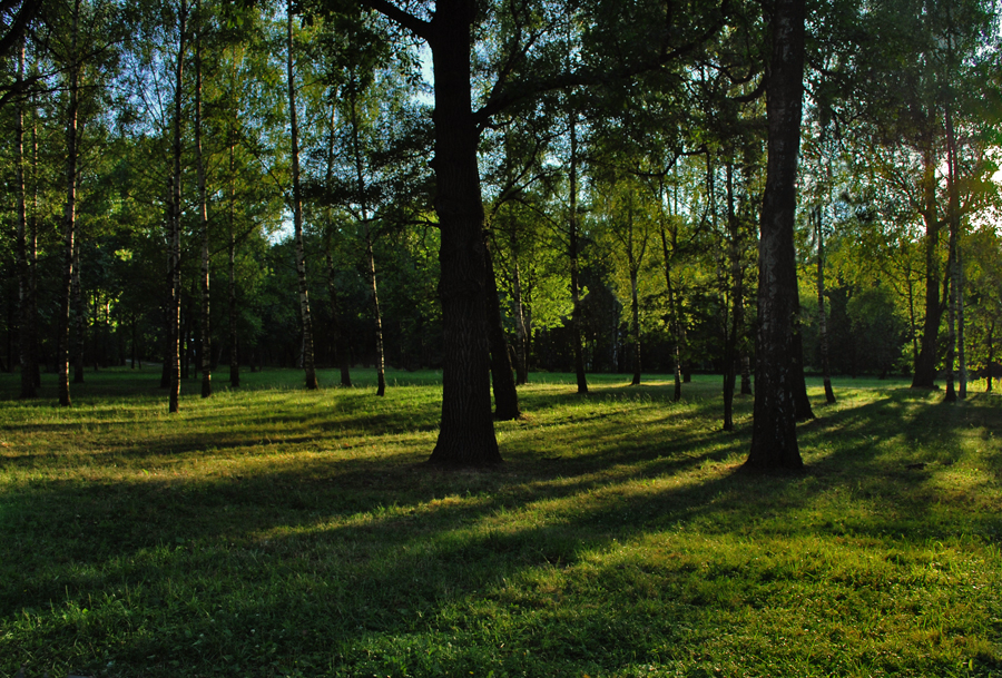 Фото жизнь (light) - Justine Diamant - Пейзажи - Вспоминая летний зной