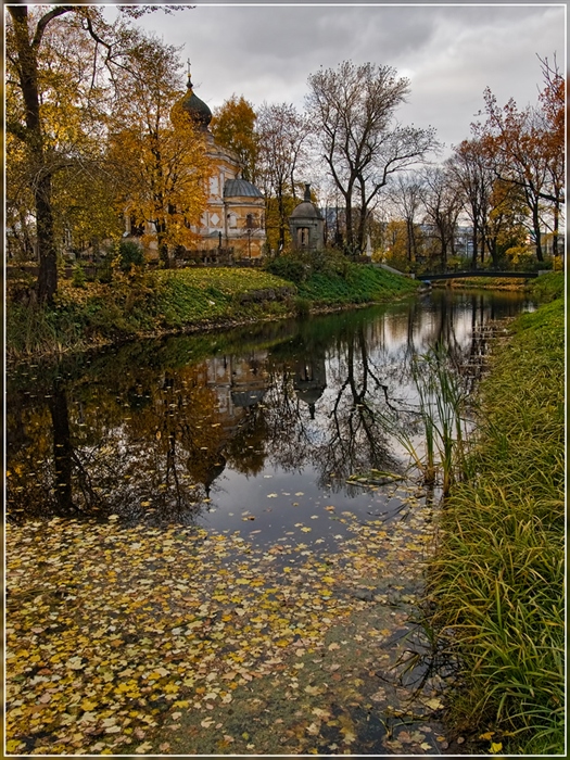 Фото жизнь
