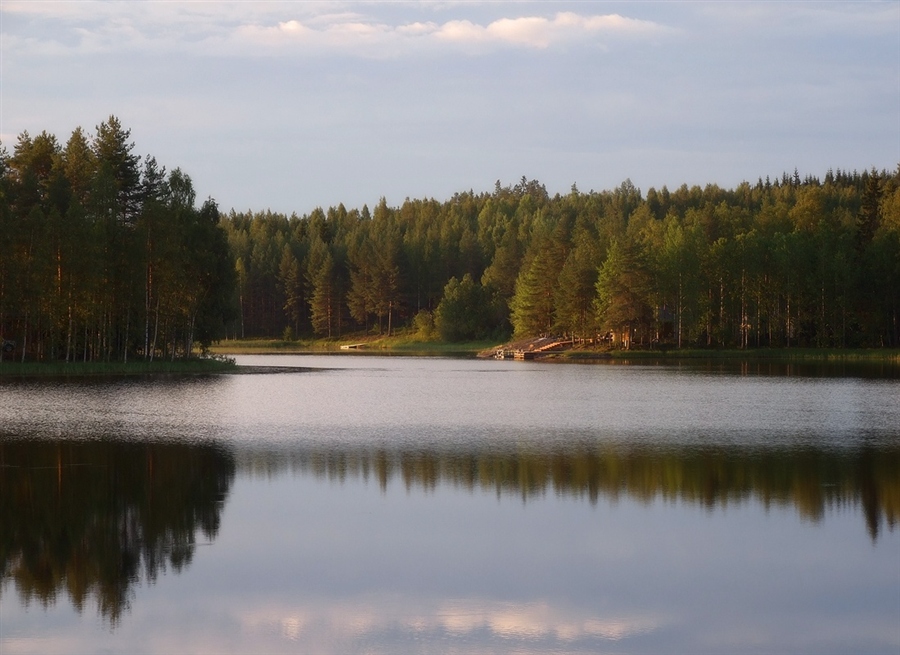 Фото жизнь