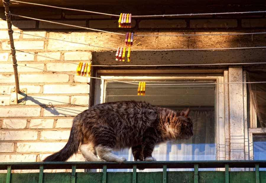 Фото жизнь