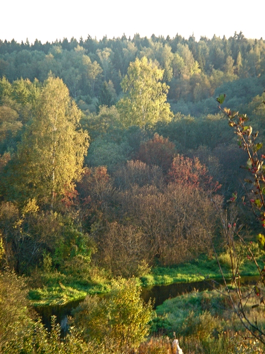 Фото жизнь