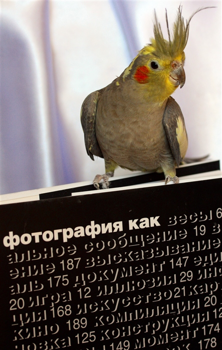 Фото жизнь