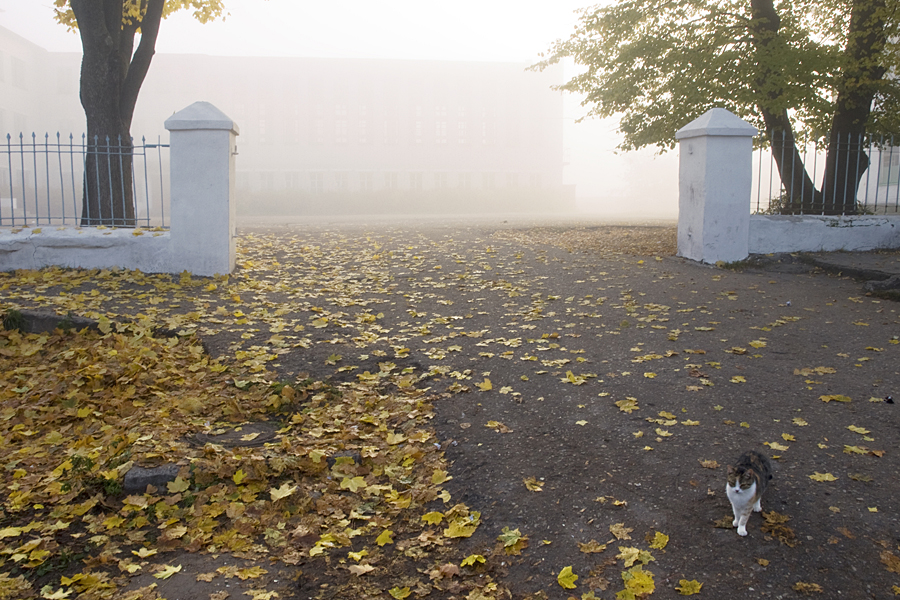 Фото жизнь (light) - Федотов Антон - Селигер 2010. Лучшее - *-*