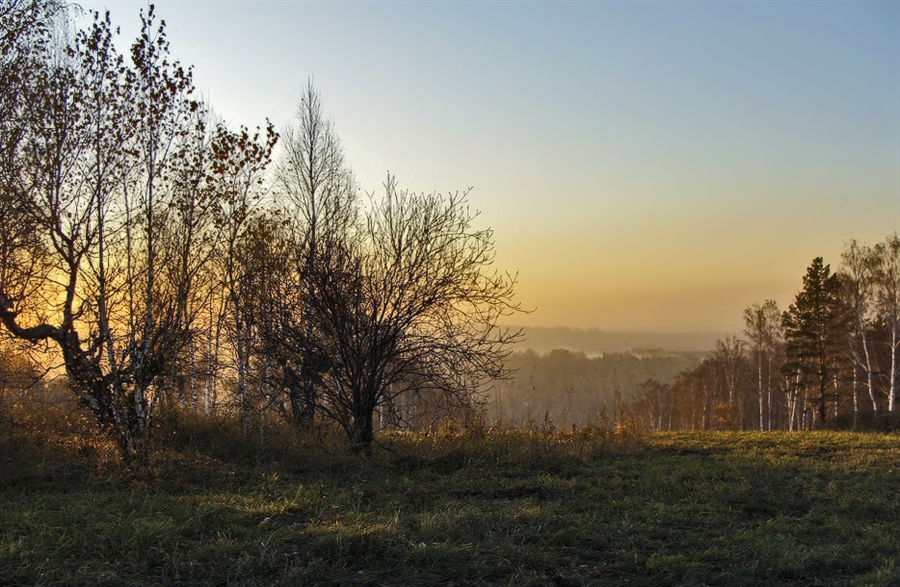 Фото жизнь