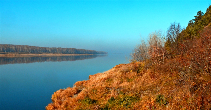 Фото жизнь
