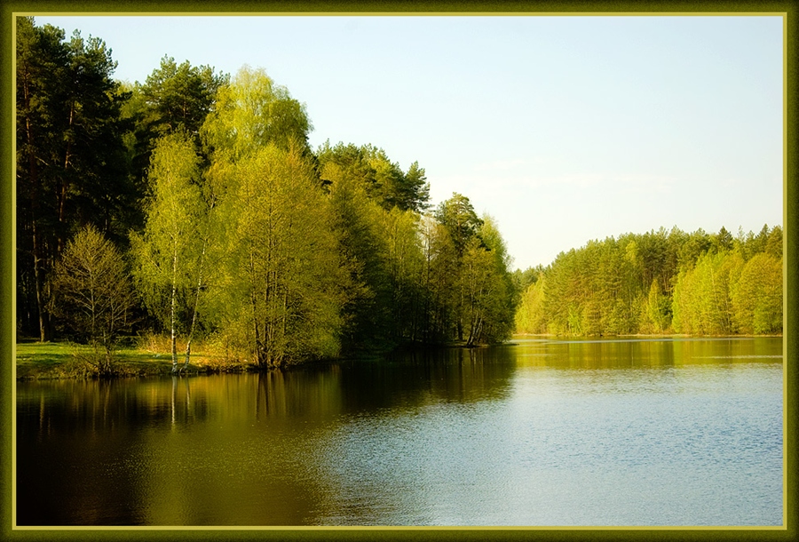 Фото жизнь