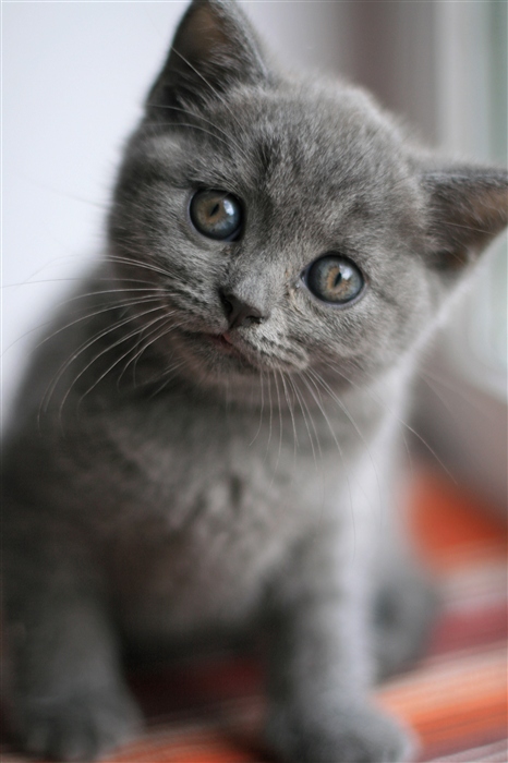 Ты меня не обидишь?