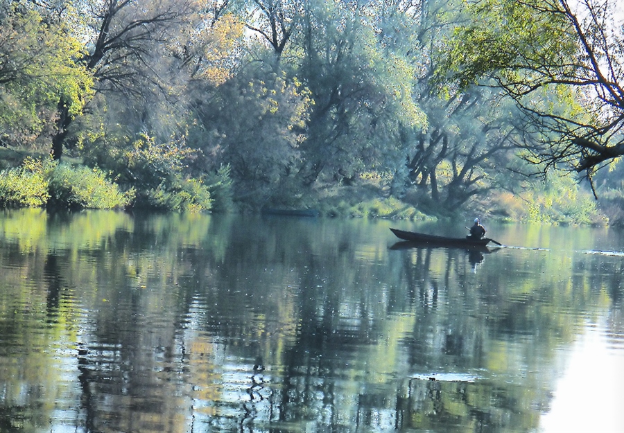 Фото жизнь