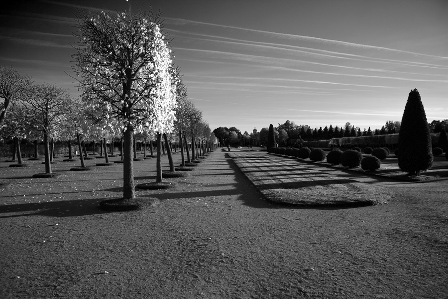 Фото жизнь (light) - Miranda - В парках и садах - ...