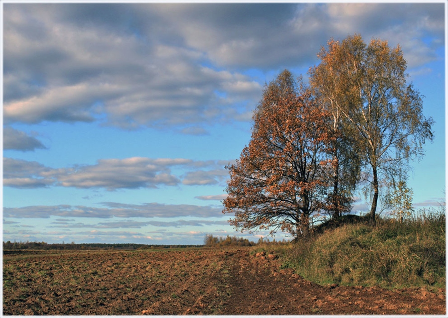 Фото жизнь