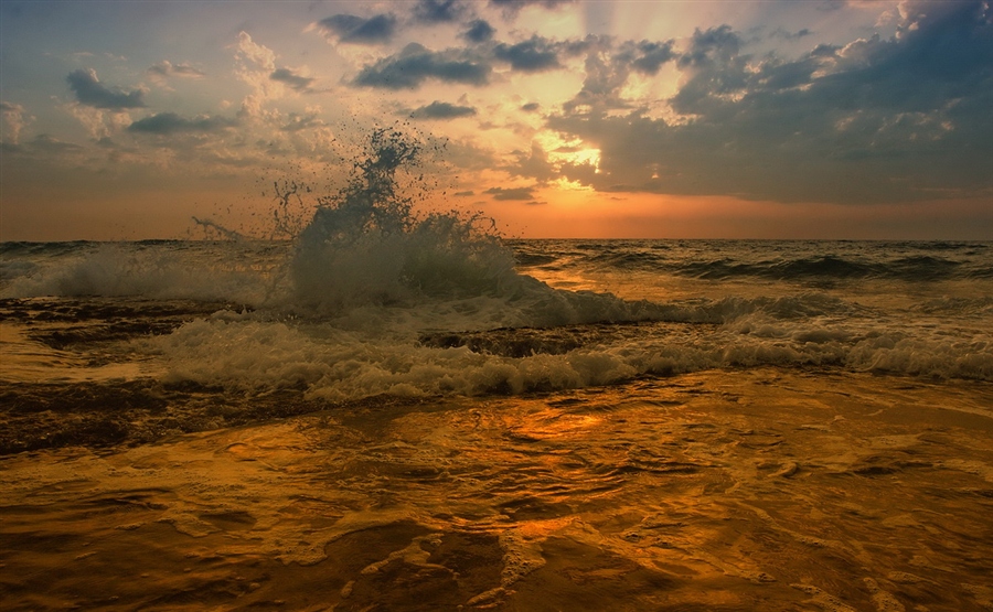 Фото жизнь