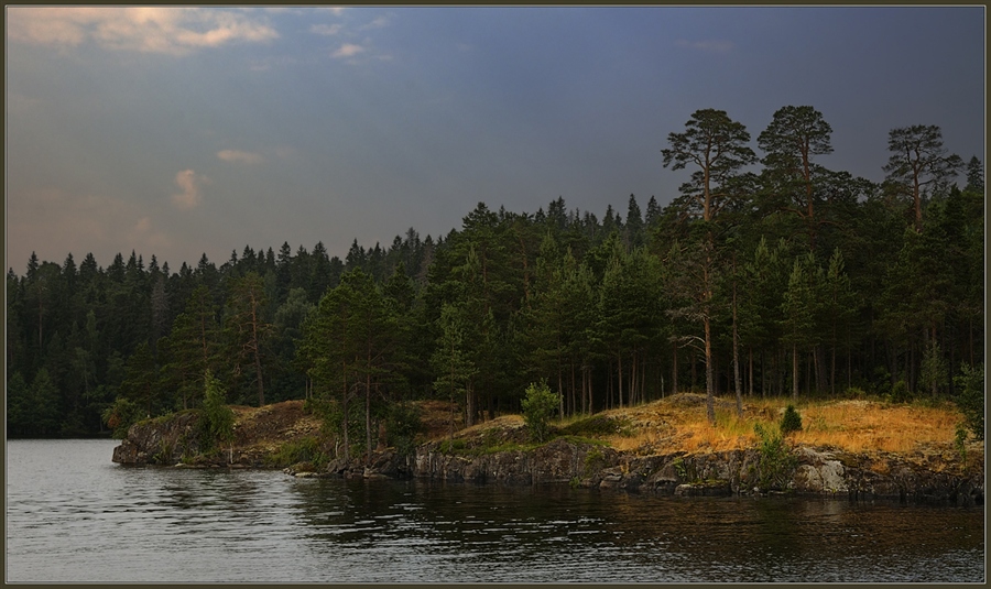 Фото жизнь