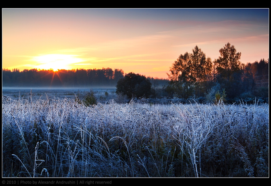 Фото жизнь