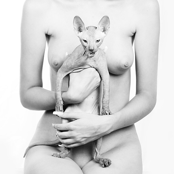 Фото жизнь - Илья Головин - корневой каталог - cats 2