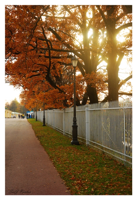 Фото жизнь (light) - Dif_18 - корневой каталог - Осенний марафон 