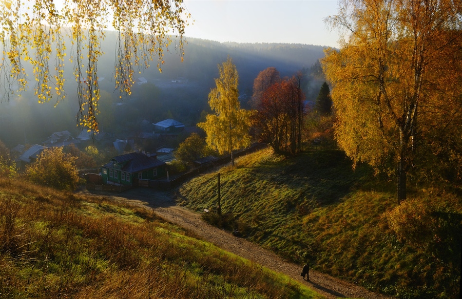 Фото жизнь