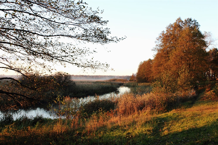 Фото жизнь