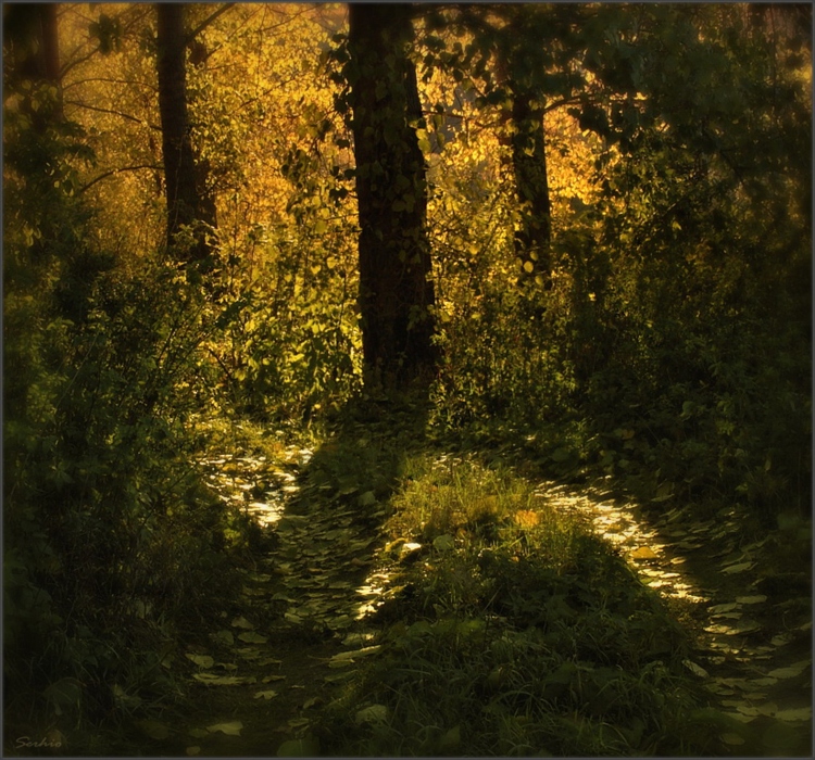 Фото жизнь