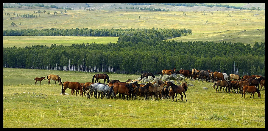 Фото жизнь