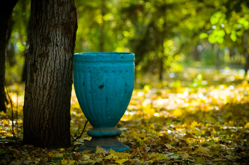 Фото жизнь (light) - MrPitkin - Пейзажи - осень 1