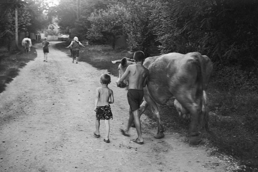 Фото жизнь (light) - CKira - корневой каталог - додому