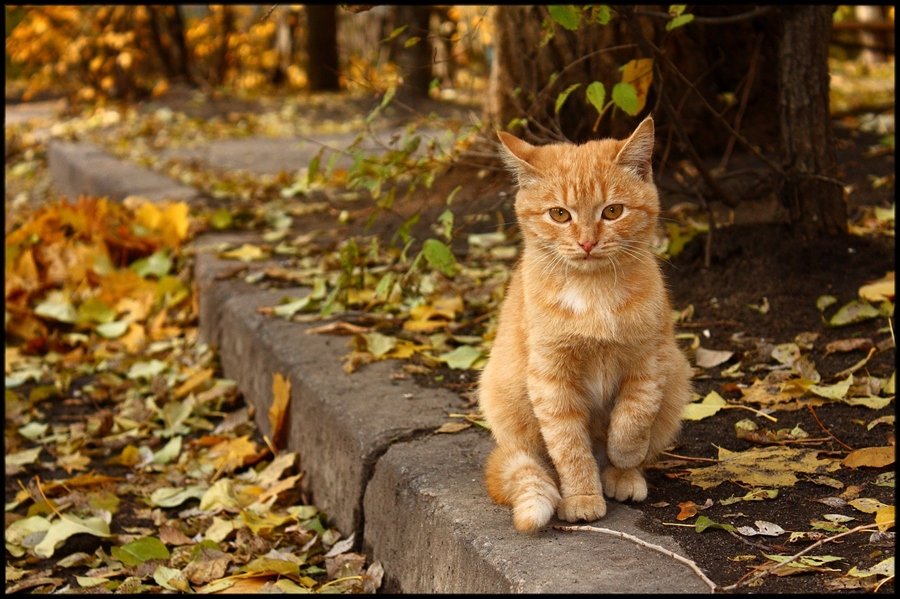 Фото жизнь