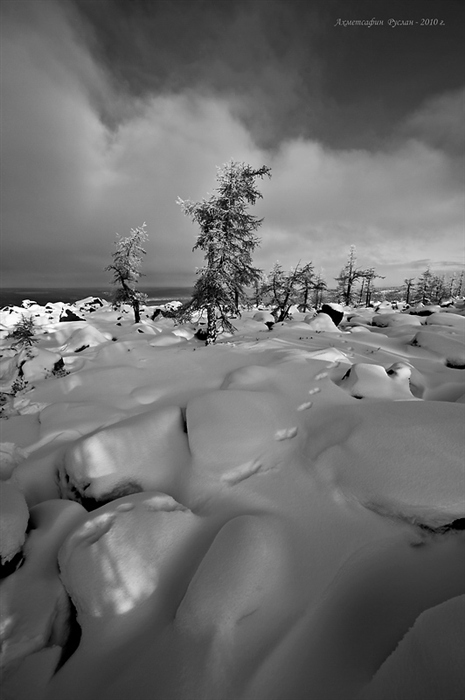 Фото жизнь