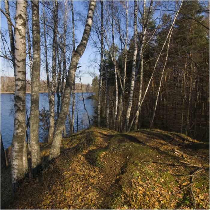 Фото жизнь