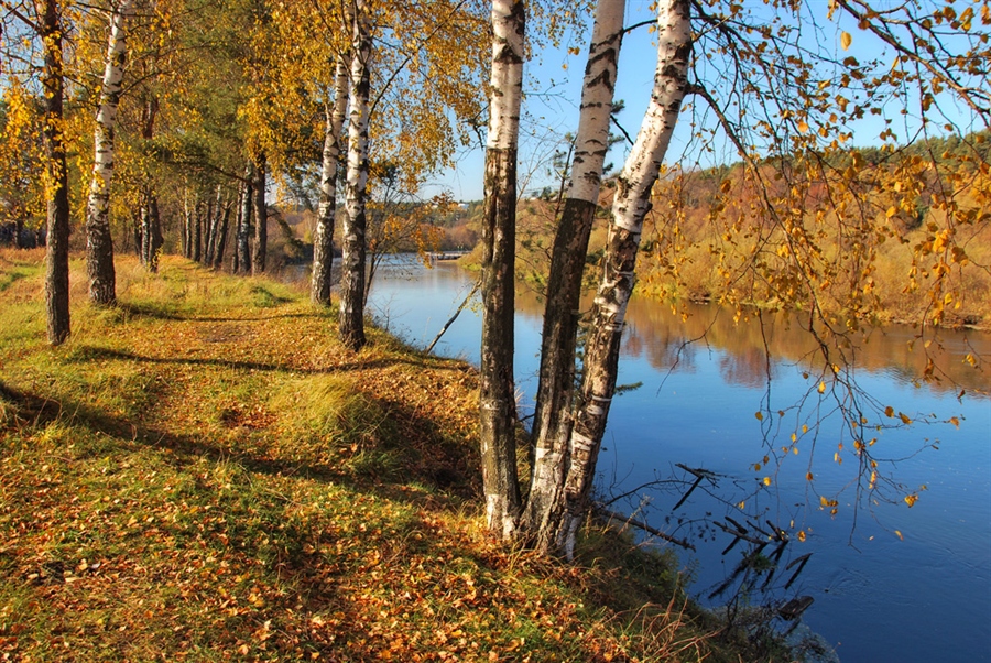 Фото жизнь