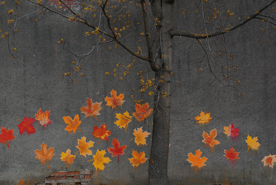 Фото жизнь (light) - temas - Латвия - Осенняя