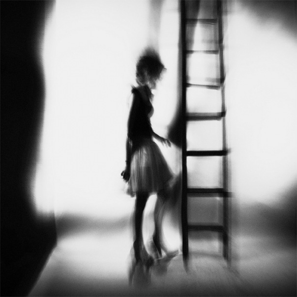 Фото жизнь (light) - Фотошкола SHOT - корневой каталог - by Kristina Lerner