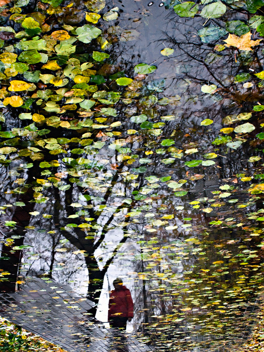 Фото жизнь (light) - Синицына Ольга - картины - осень в Нижнем Новгороде 5
