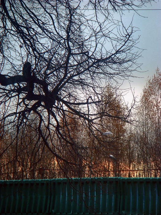 Фото жизнь