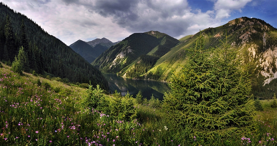 Фото жизнь