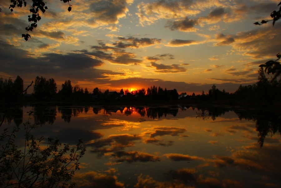 Фото жизнь