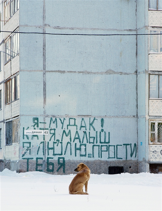 Фото жизнь