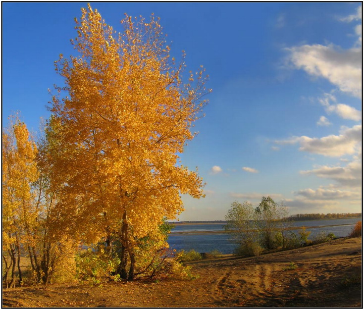 Фото жизнь (light) - Андрей Ситников - Волгоград - Золотая осень