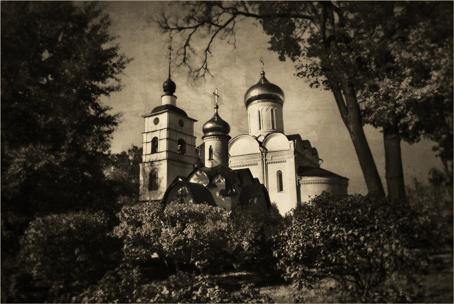 Фото жизнь