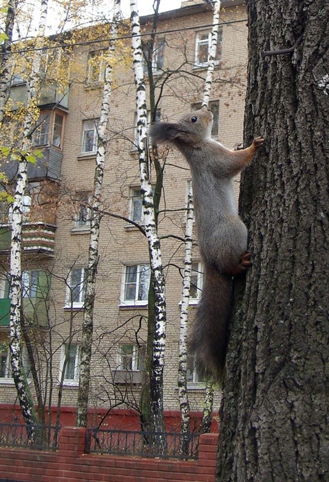 Фото жизнь