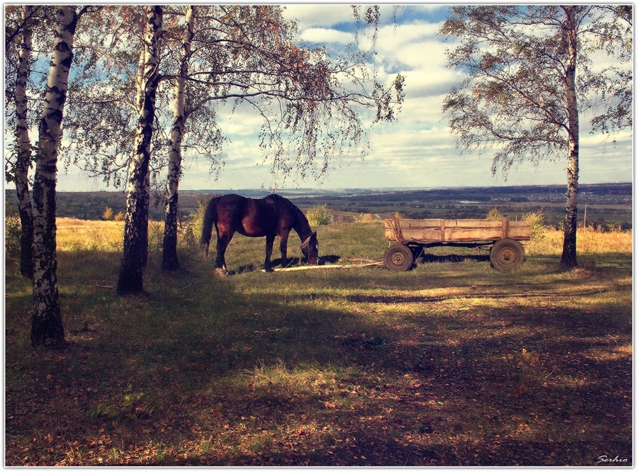 Фото жизнь