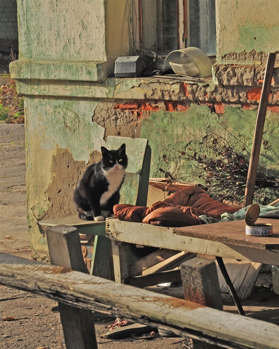 Фото жизнь