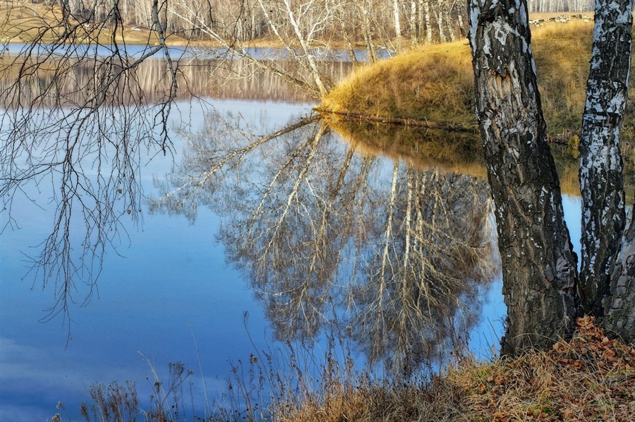 Фото жизнь