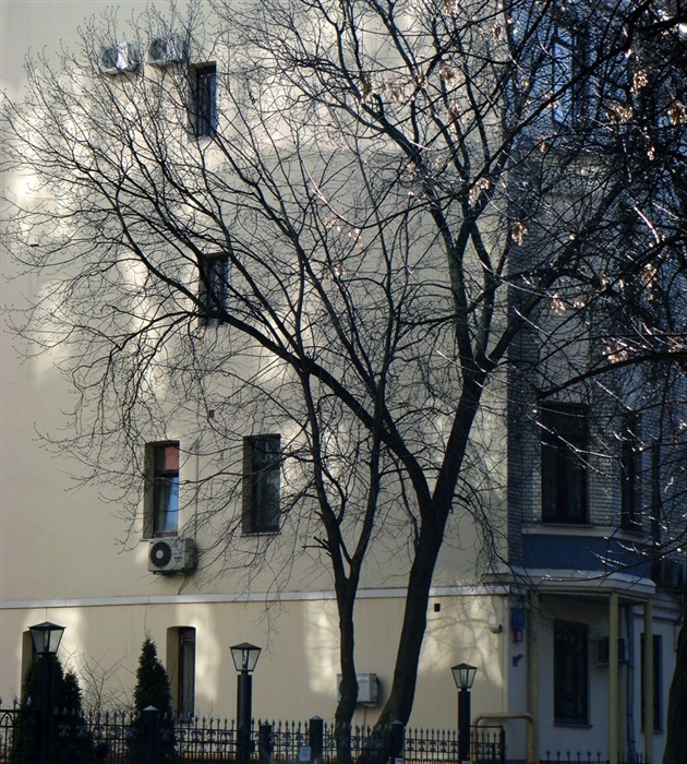 Фото жизнь