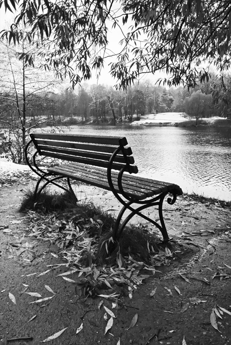 Фото жизнь (light) - Геннадий Сорокин - Кузьминки.  - Первый снег. Одинокая скамейка #2.