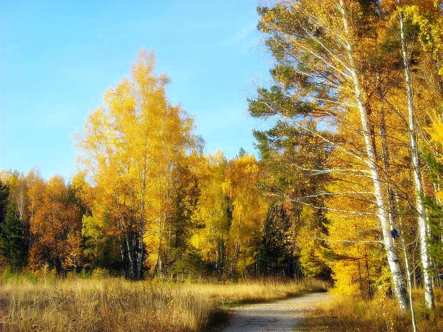 Фото жизнь